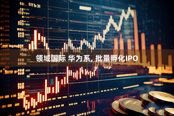 领域国际 华为系, 批量孵化IPO