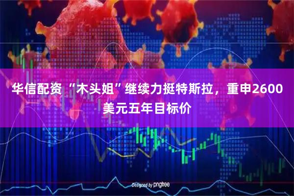 华信配资 “木头姐”继续力挺特斯拉，重申2600美元五年目标价