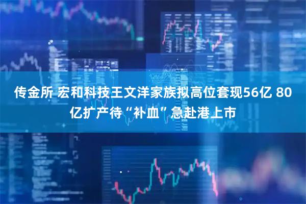 传金所 宏和科技王文洋家族拟高位套现56亿 80亿扩产待“补血”急赴港上市