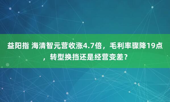 益阳指 海清智元营收涨4.7倍，毛利率骤降19点，转型换挡还是经营变差？