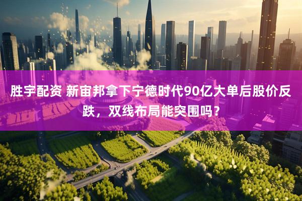 胜宇配资 新宙邦拿下宁德时代90亿大单后股价反跌，双线布局能突围吗？